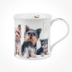 Wessex Designer Dogs Yorkshire Terriers