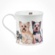Wessex Designer Dogs Yorkshire Terriers