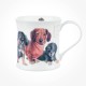 Wessex Designer Dogs Dachshunds
