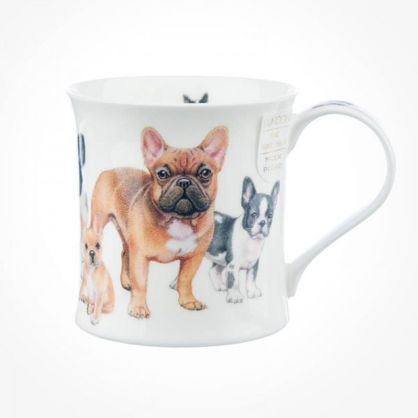 Wessex Designer Dogs French Bulldogs