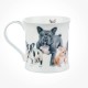 Wessex Designer Dogs French Bulldogs