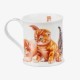 Dunoon Wessex Kittens Ginger