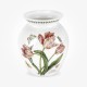 Botanic Garden 8 inch Vase - Parrot Tulip