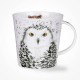 Dunoon mugs Cairngorm What a Hoot White