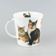 Dunoon Mugs Cairngorm Cats and Kittens Tabby