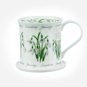 Dunoon Mugs WESSEX Flower Of The Month January